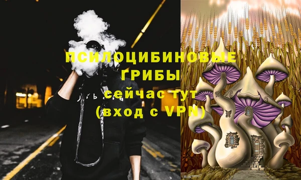 стафф Абаза