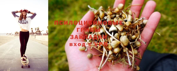 круглые Пересвет